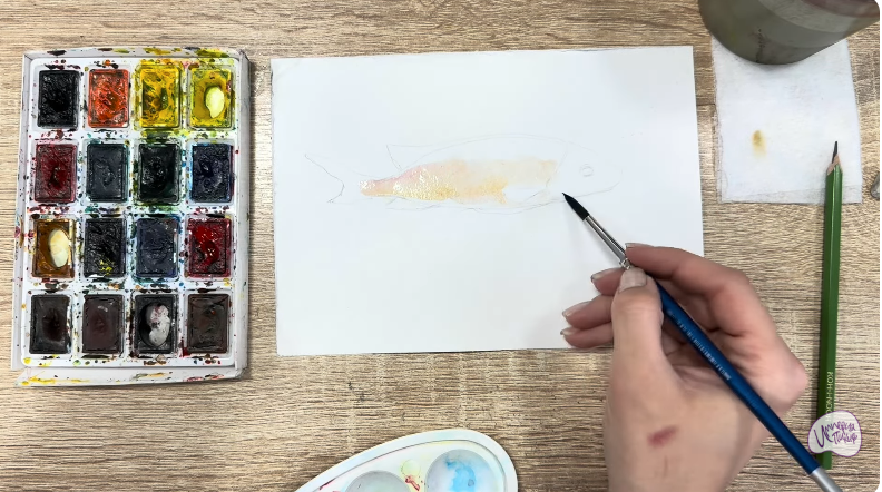 Рисуем Чернокрапчатый ворчун