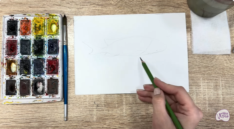 Рисуем Чернокрапчатый ворчун