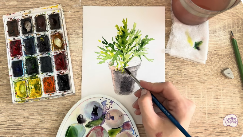 Рисуем Криптомерия японская