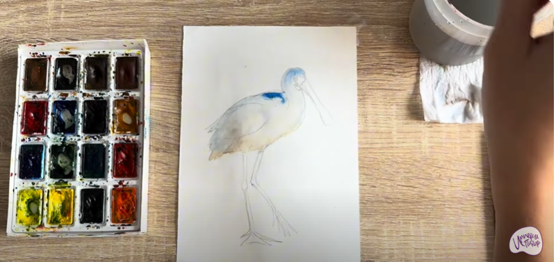 Рисуем Колпица Рисуем Колпица