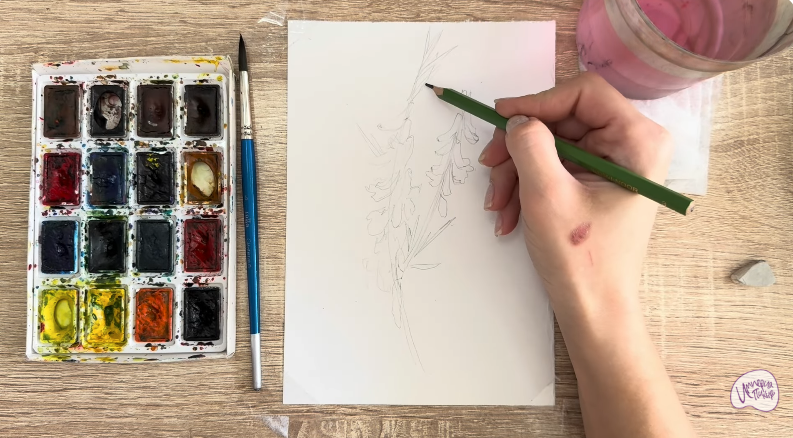 Рисуем Мышиный горошек