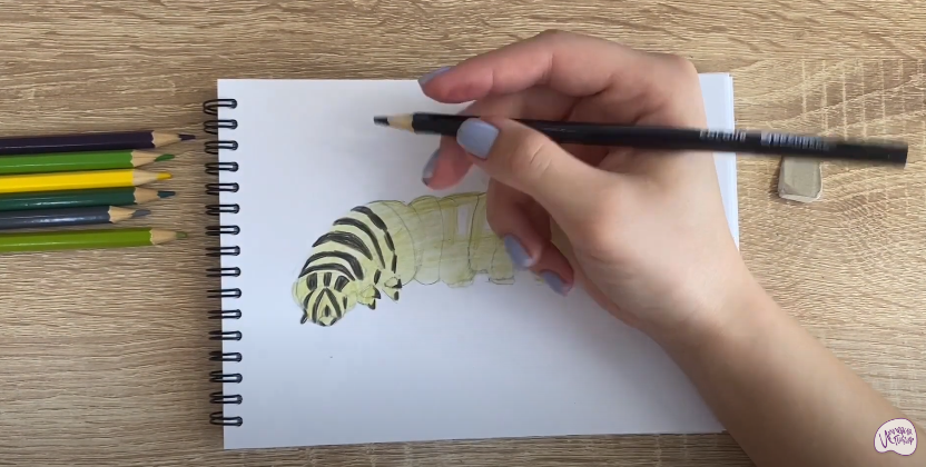 Рисуем Гусеница