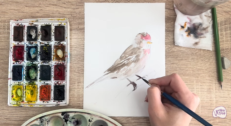 Рисуем Обыкновенная чечётка