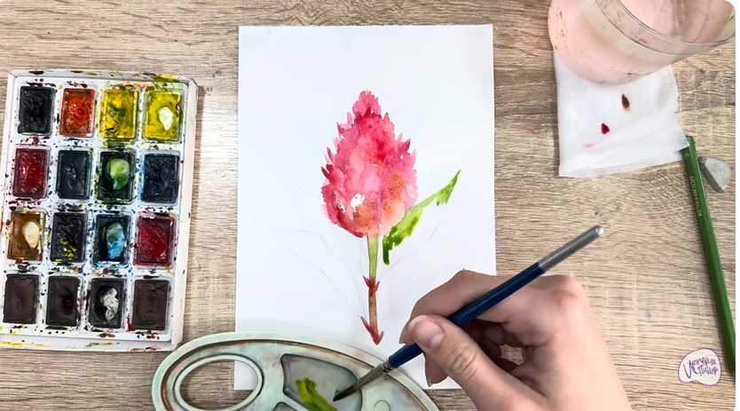 Рисуем Целозия