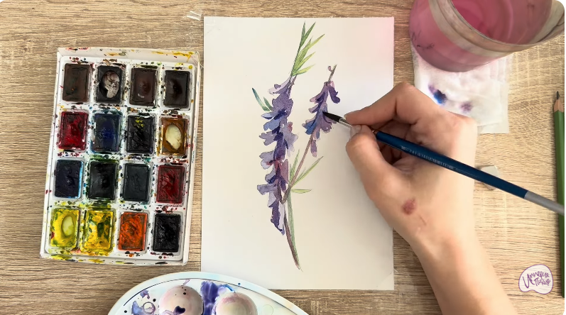 Рисуем Мышиный горошек