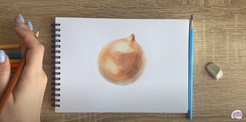 Рисуем Луковица