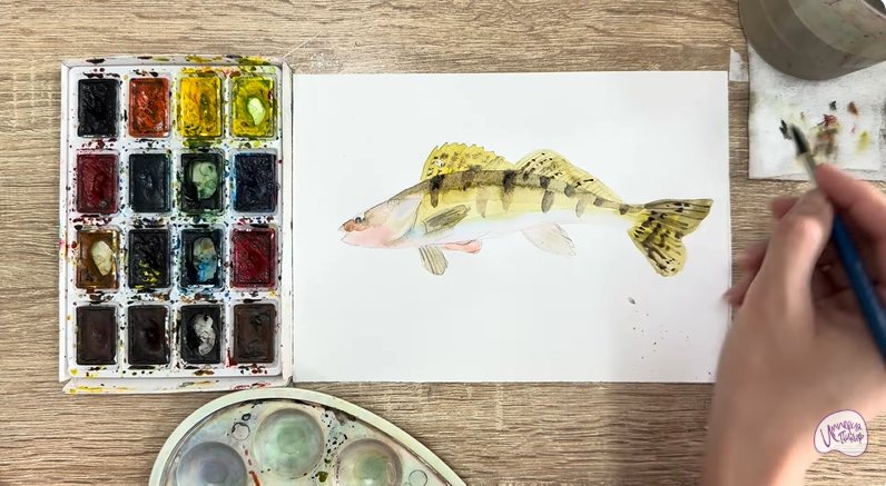 Рисуем Берш