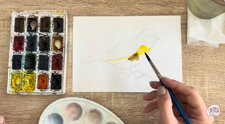 Рисуем Обыкновенная лазоревка