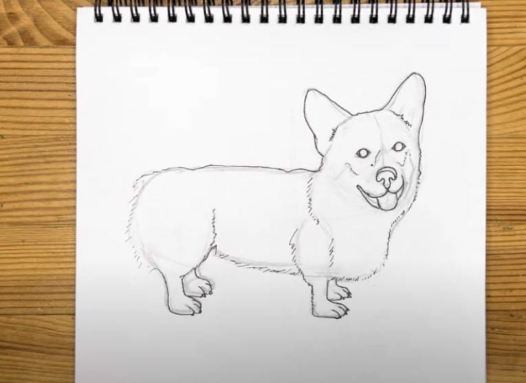 Рисуем Корги