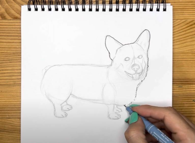 Рисуем Корги