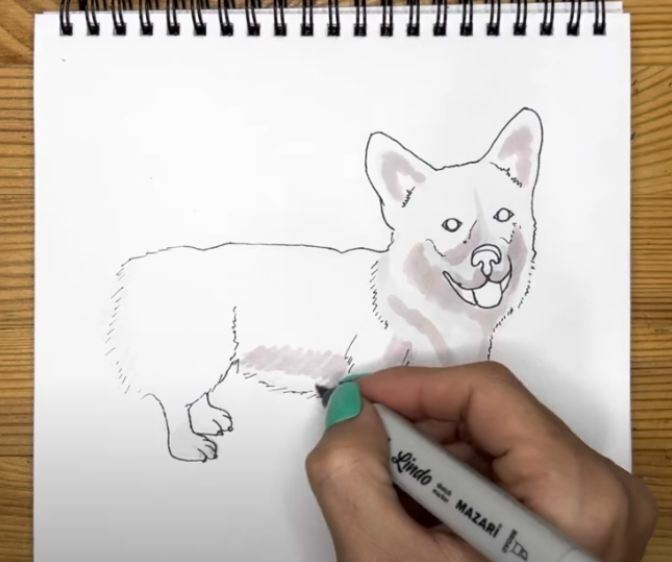 Рисуем Корги