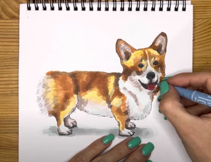 Рисуем Корги