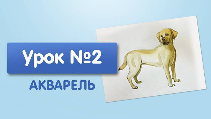 Урок №2. Собака - акварелью