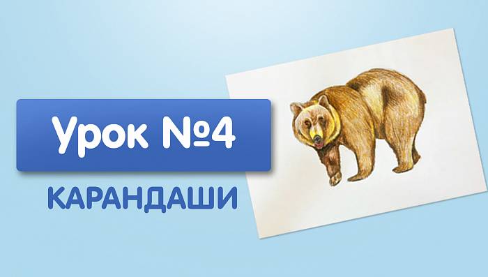 Урок №4. Медведь - цветными карандашами