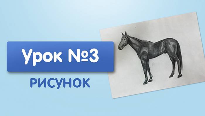Урок №3. Лошадь - карандашом