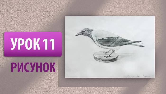 Урок 11 | Рисунок. Чучело птицы вороны простым карандашом